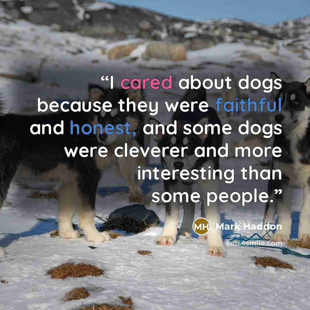 “I cared about dogs because they were faithful and honest, and some dogs were cleverer and more interesting than some people.” quote by Mark Haddon