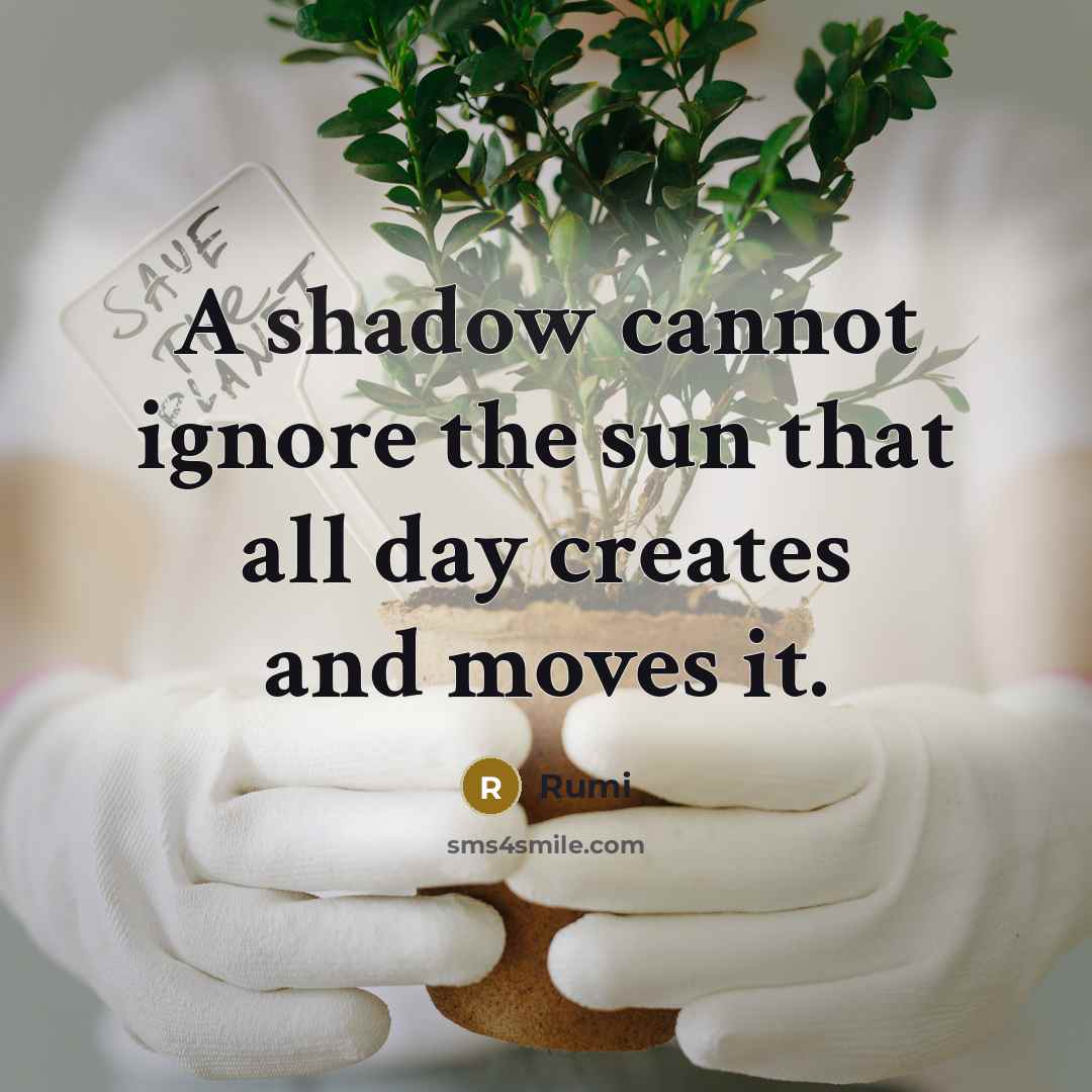 “A shadow cannot ignore the sun that all day creates and moves it.” quote by Rumi