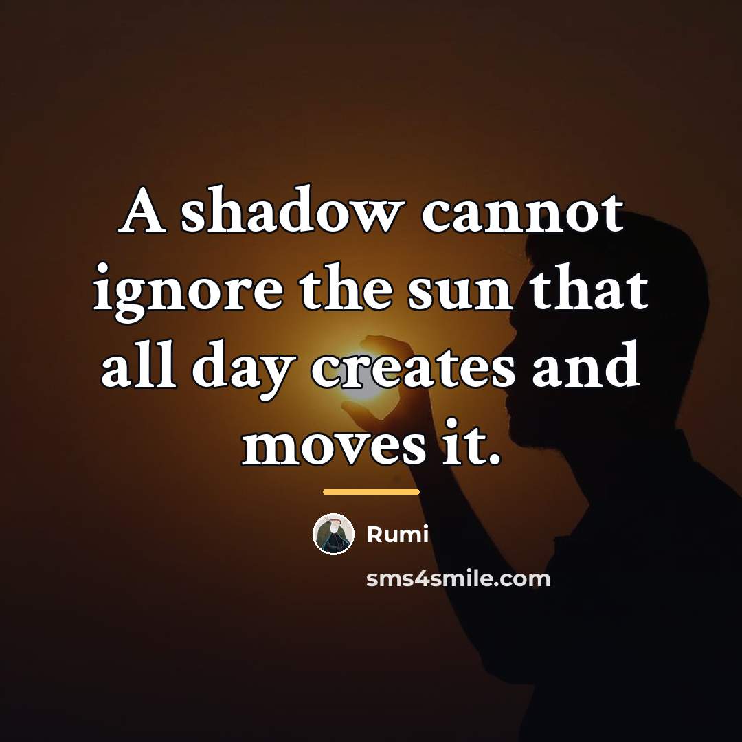 “A shadow cannot ignore the sun that all day creates…” quote by Rumi
