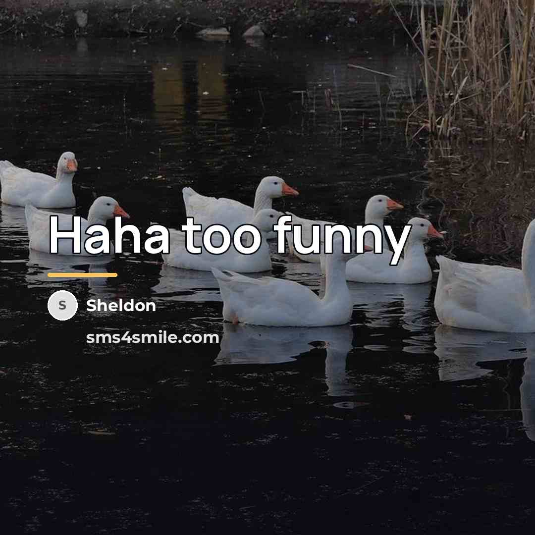 “Haha too funny…” quote by Sheldon