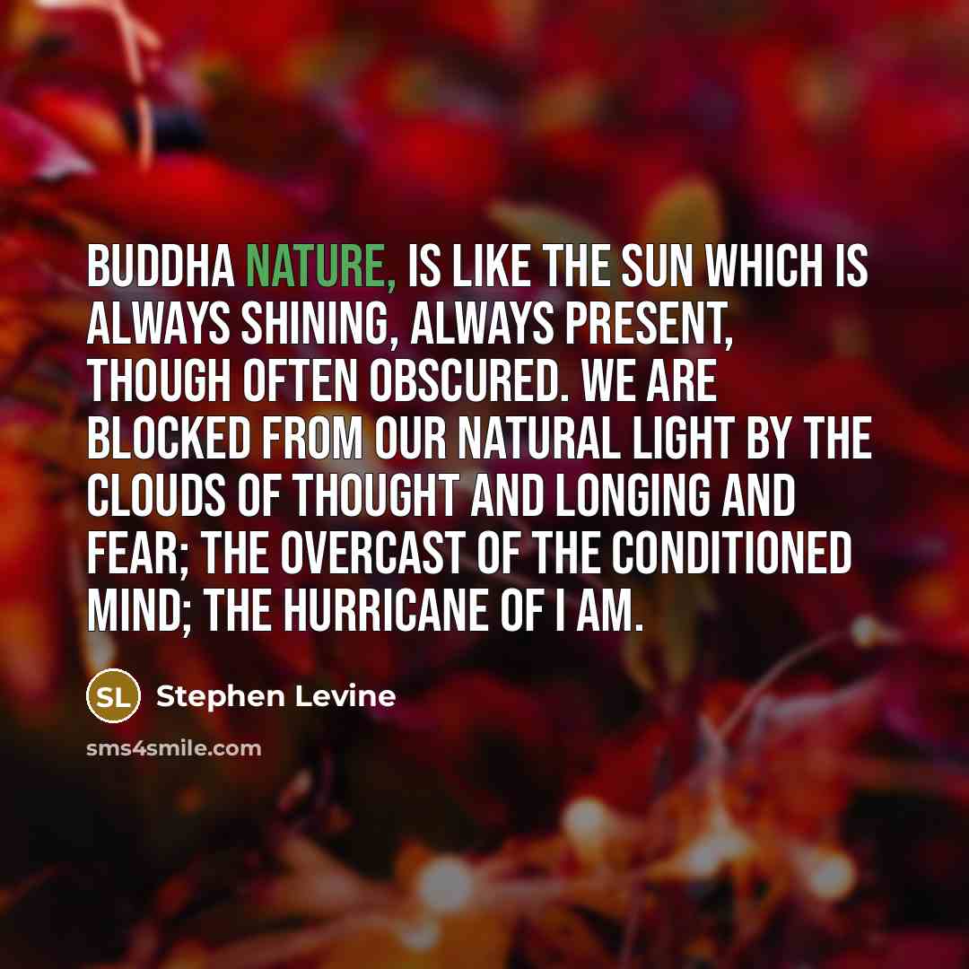“Buddha nature, is like the sun which is always shining,…” quote by Stephen Levine