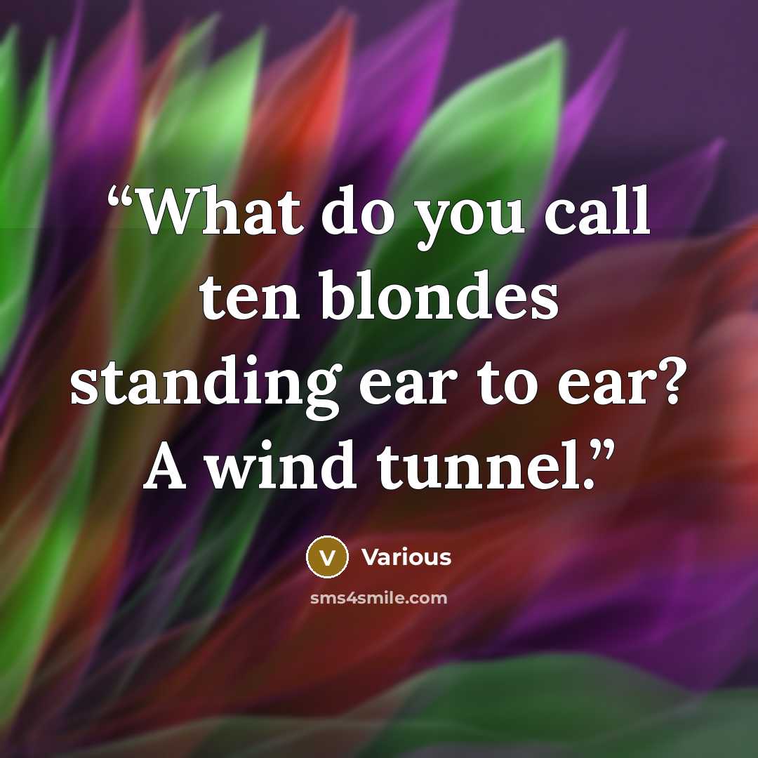 “What do you call ten blondes standing ear to ear? A wind tunnel.” quote by Various