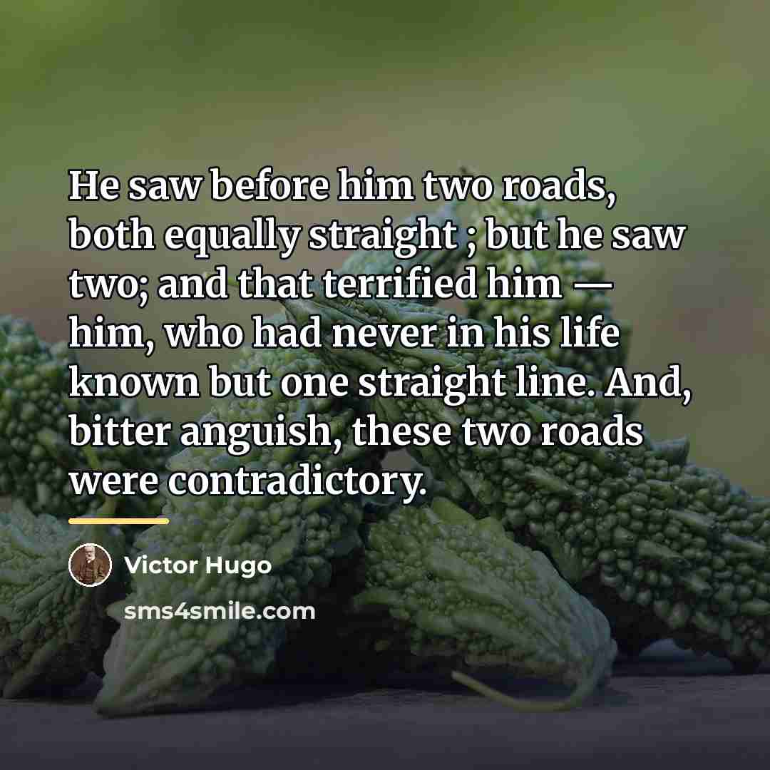 “He saw before him two roads, both equally straight ;…” quote by Victor Hugo