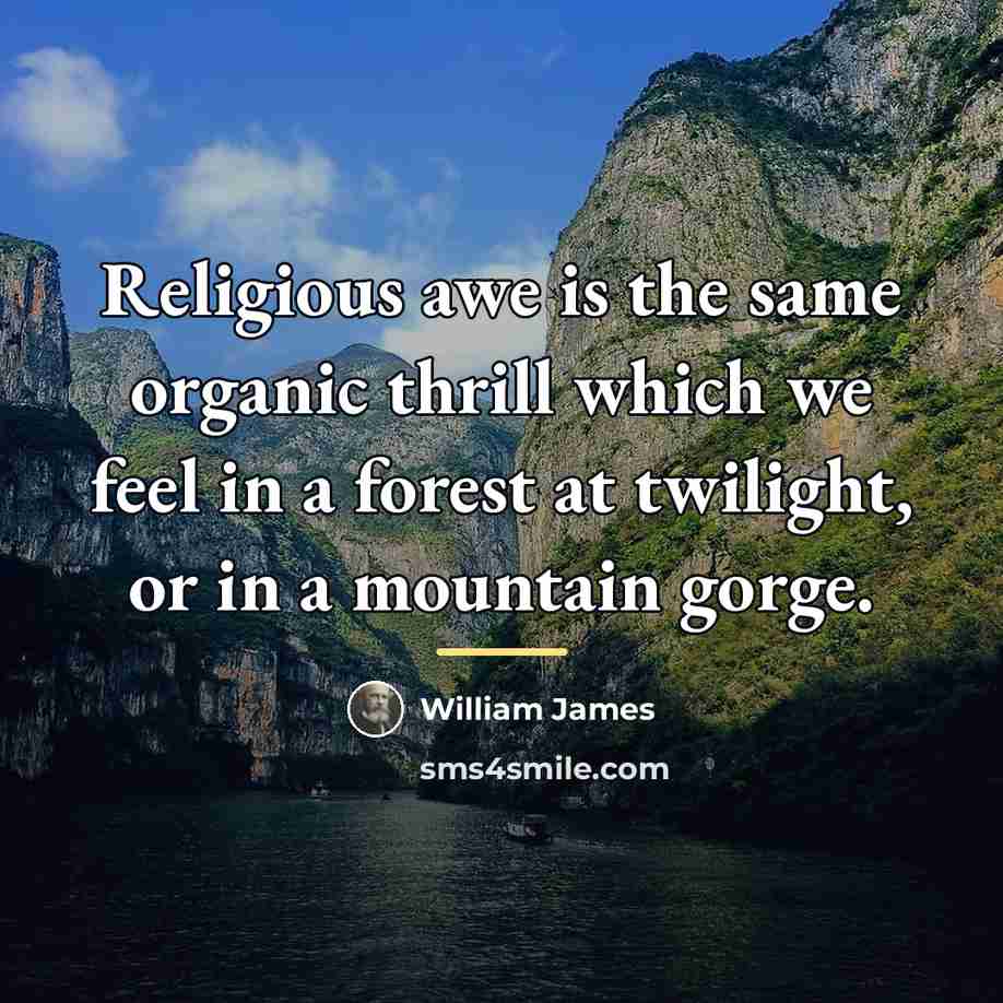 “Religious awe is the same organic thrill which we feel…” quote by William James