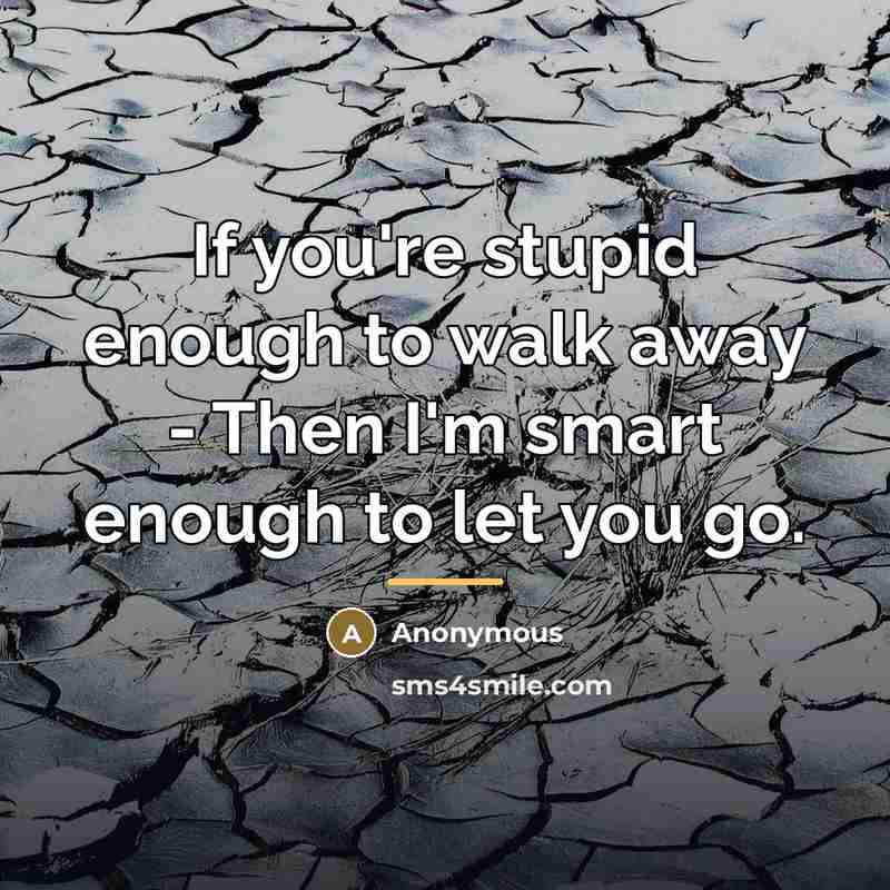 “If you're stupid enough to walk away - Then I'm…” quote by Anonymous