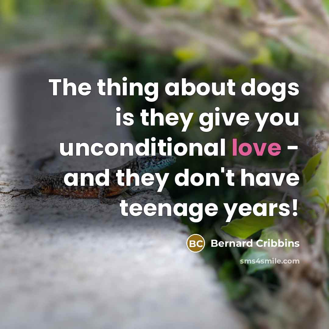 “The thing about dogs is they give you unconditional love - and they don't have teenage years!” quote by Bernard Cribbins