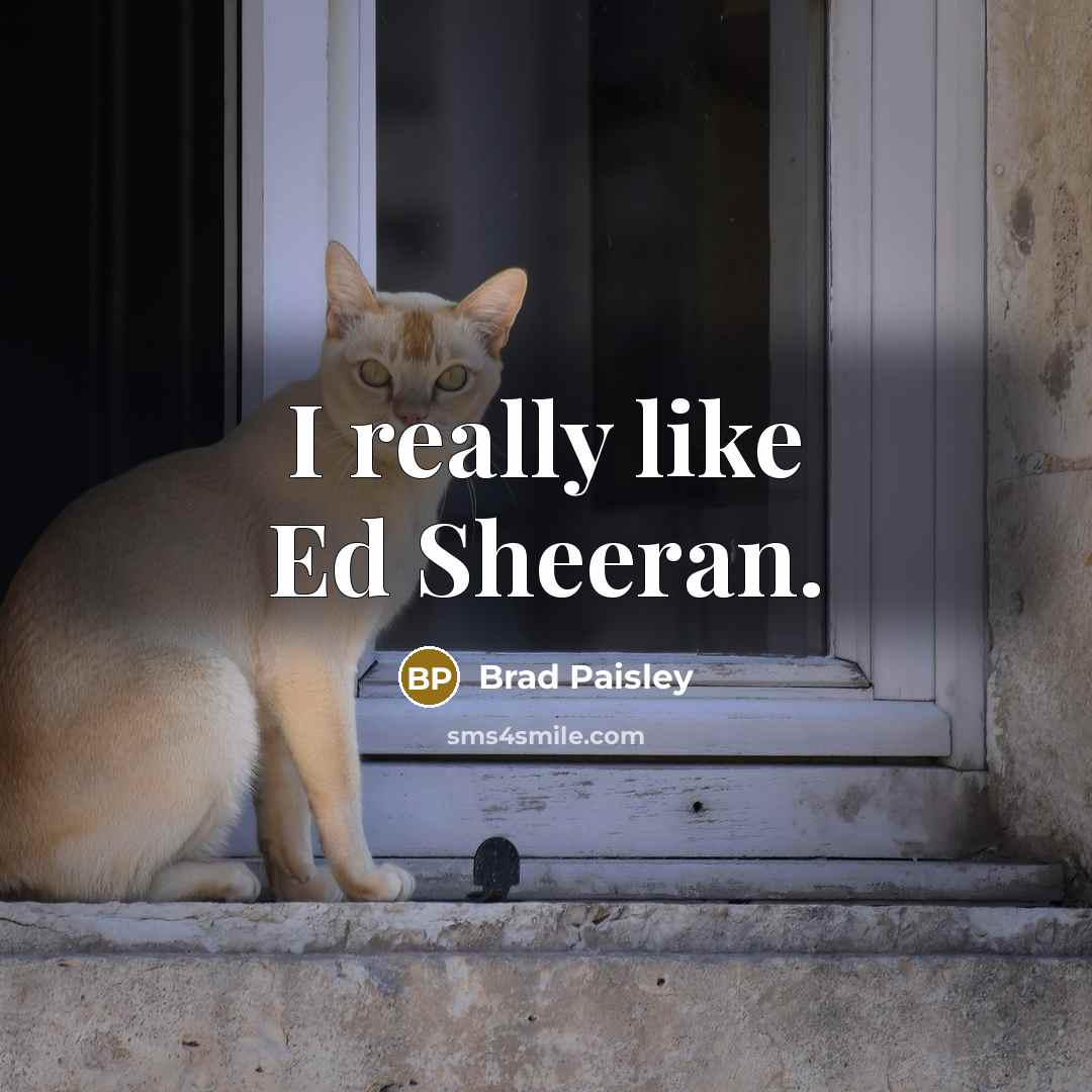 “I really like Ed Sheeran.…” quote by Brad Paisley