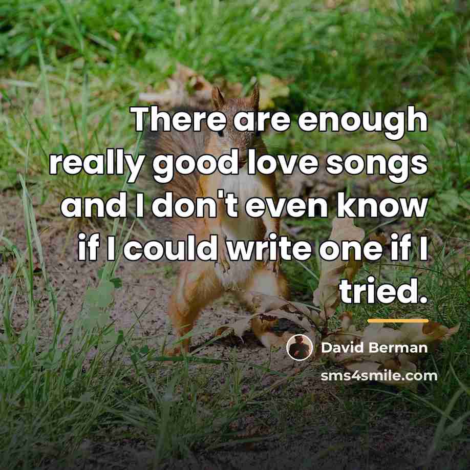“There are enough really good love songs and I don't…” quote by David Berman