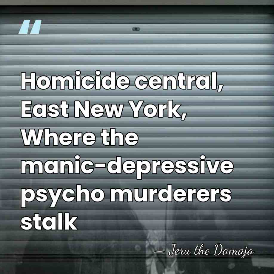 Homicide central, East New York, Where the manic-depressive psycho murderers stalk - Jeru the Damaja
