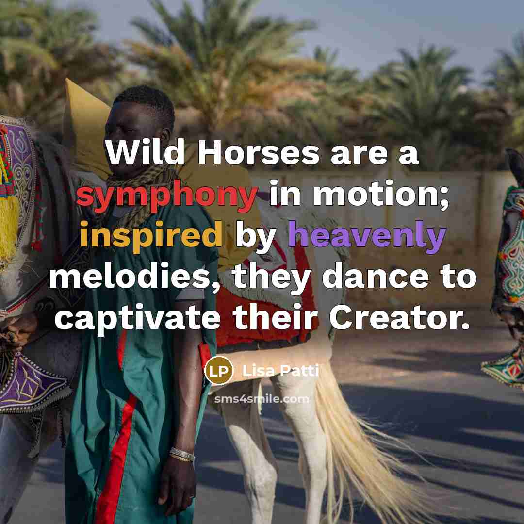 “Wild Horses are a symphony in motion; inspired by heavenly melodies, they dance to captivate their Creator.” quote by Lisa Patti