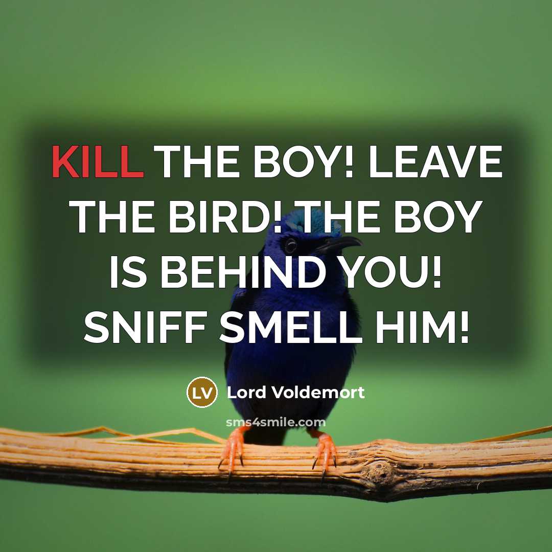 “KILL THE BOY! LEAVE THE BIRD! THE BOY IS BEHIND…” quote by Lord Voldemort