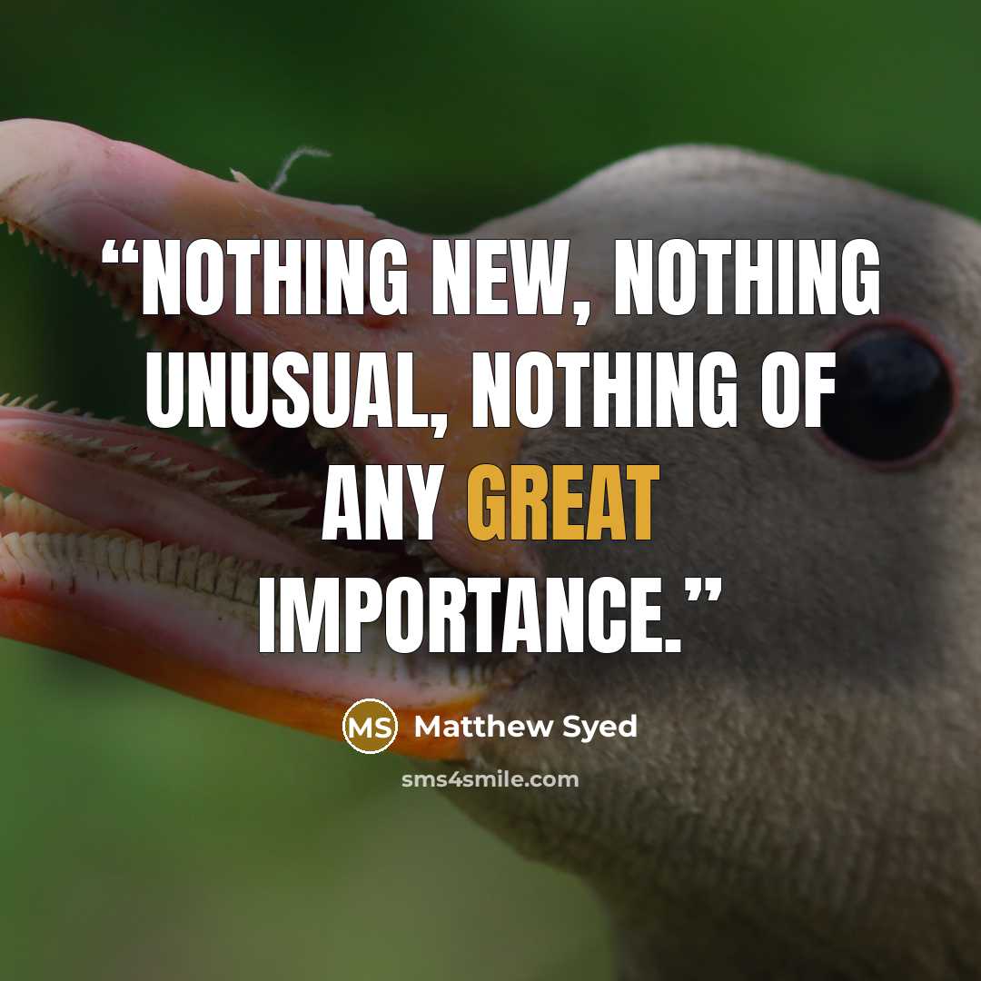 “nothing new, nothing unusual, nothing of any great importance.” quote by Matthew Syed