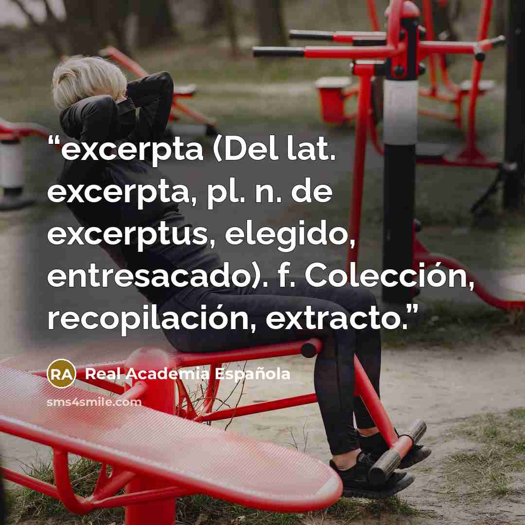 “excerpta (Del lat. excerpta, pl. n. de excerptus, elegido, entresacado). f. Colección, recopilación, extracto.” quote by Real Academia Española