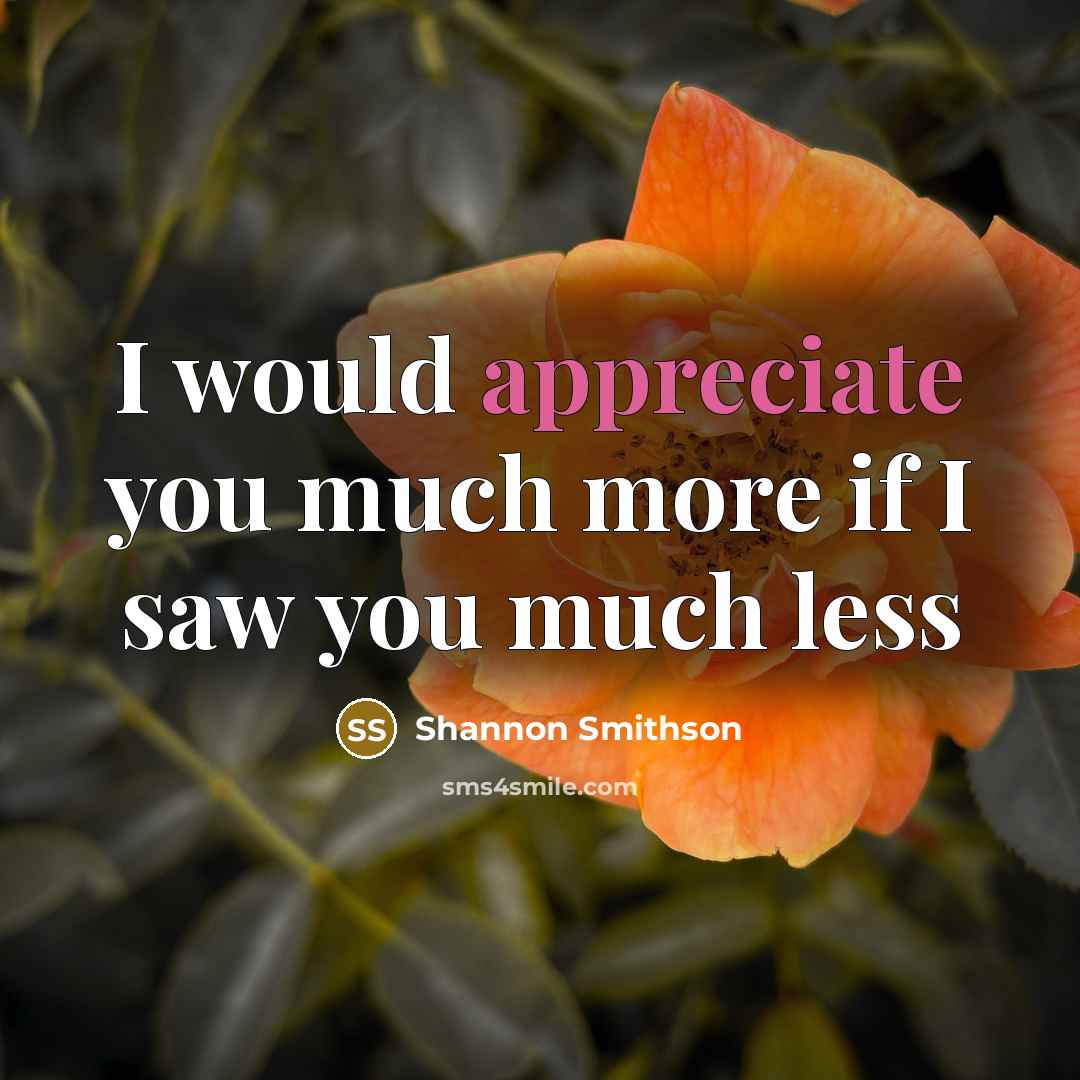 “I would appreciate you much more if I saw you much less” quote by Shannon Smithson