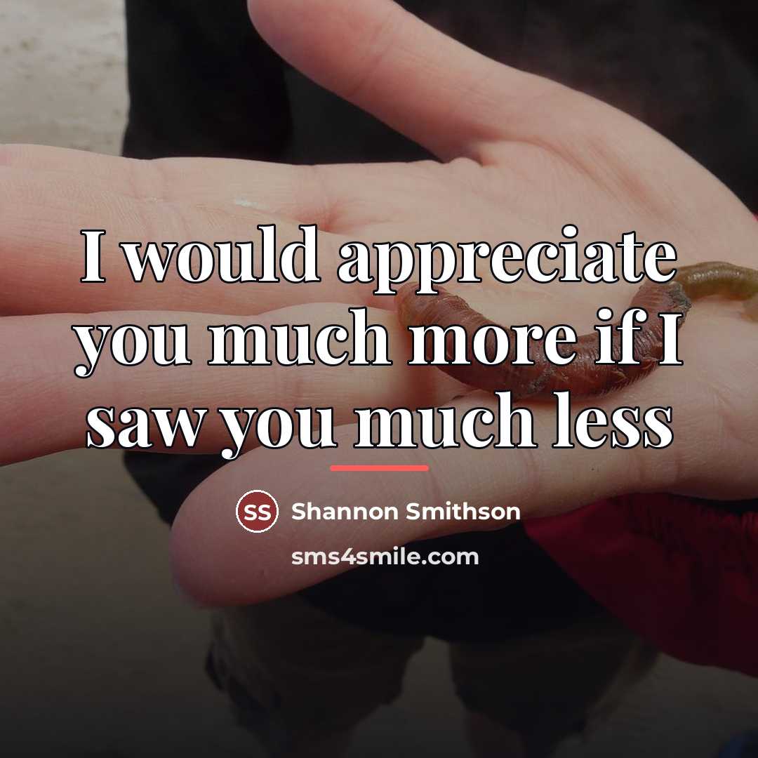 “I would appreciate you much more if I saw you…” quote by Shannon Smithson