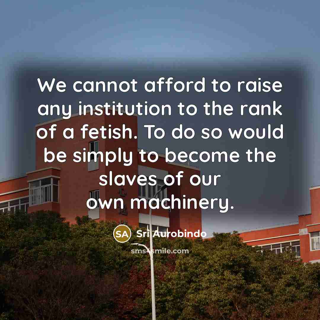 “We cannot afford to raise any institution to the rank…” quote by Sri Aurobindo