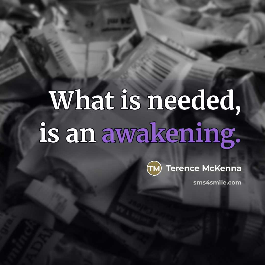 “What is needed, is an awakening.…” quote by Terence McKenna