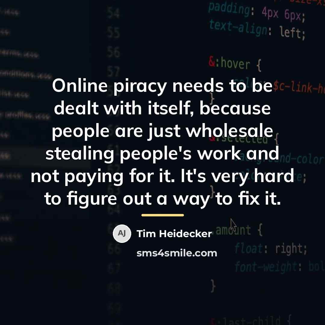 “Online piracy needs to be dealt with itself, because people…” quote by Tim Heidecker