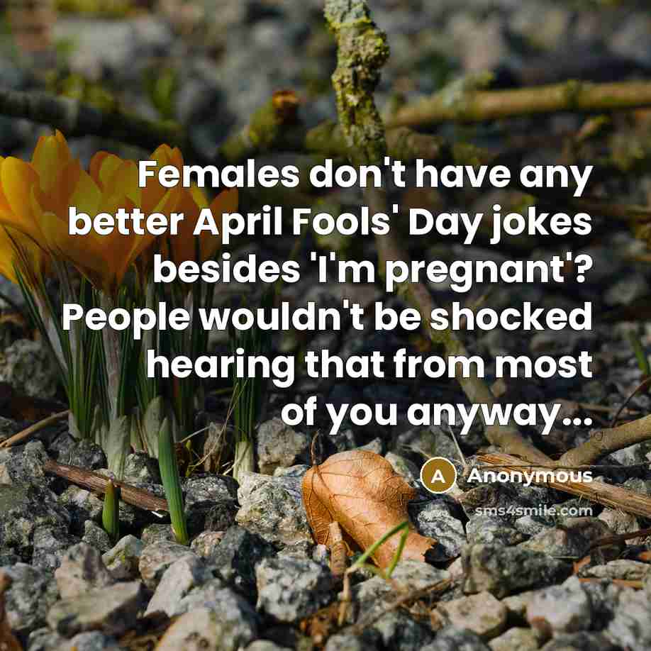 “Females don't have any better April Fools' Day jokes besides 'I'm pregnant'? People wouldn't be shocked hearing that from most of you anyway...” quote by Anonymous