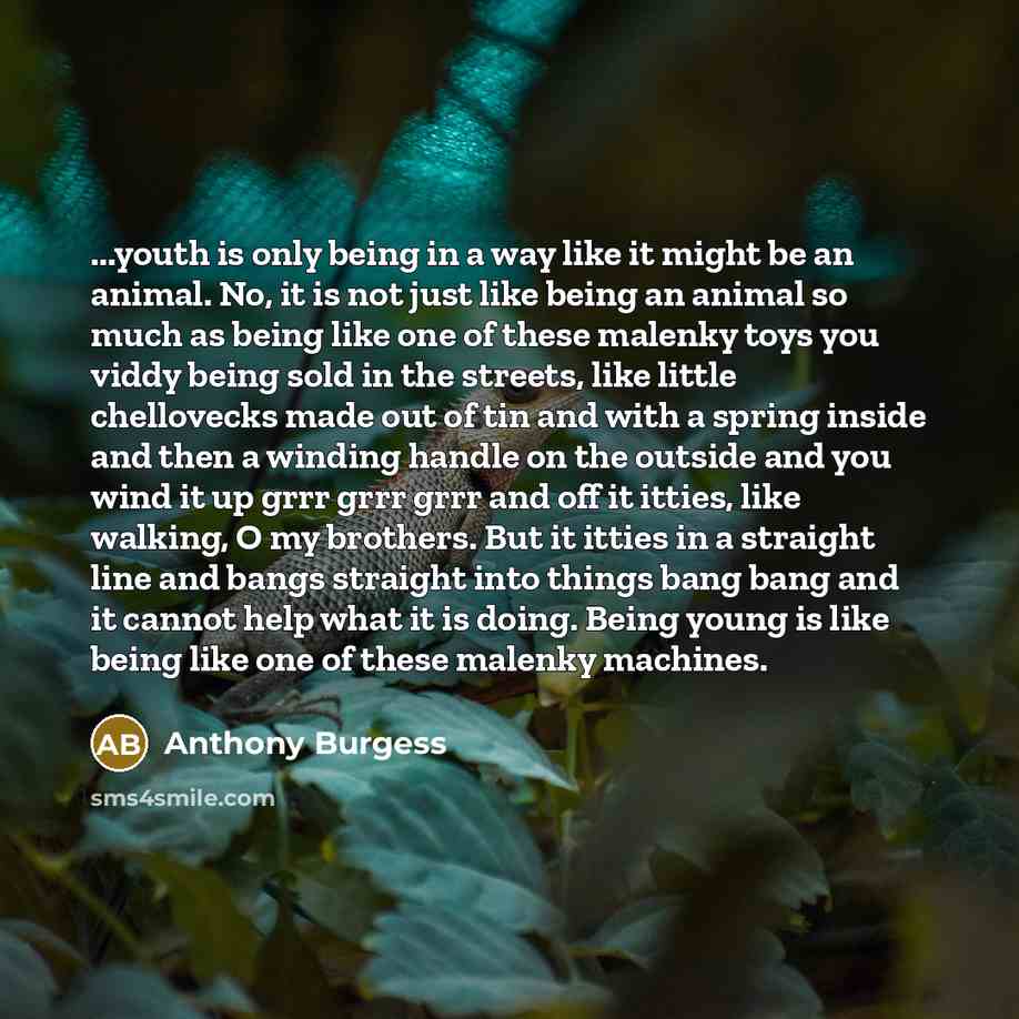 “...youth is only being in a way like it might…” quote by Anthony Burgess