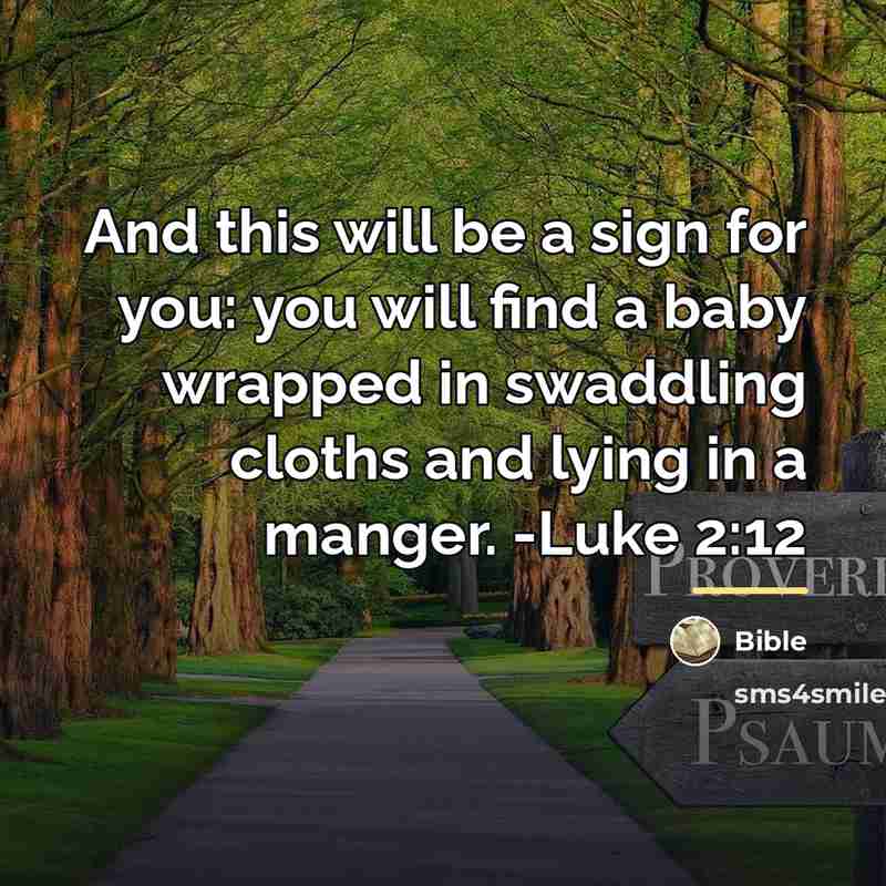 “And this will be a sign for you: you will…” quote by Bible