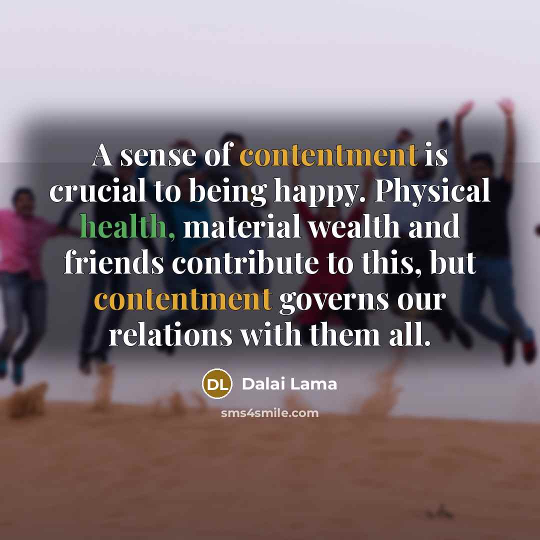 “A sense of contentment is crucial to being happy. Physical…” quote by Dalai Lama