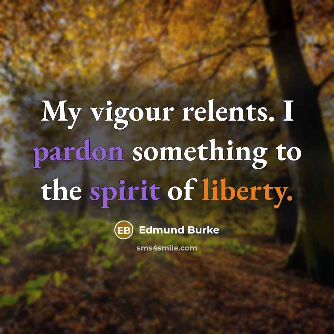 “My vigour relents. I pardon something to the spirit of…” quote by Edmund Burke
