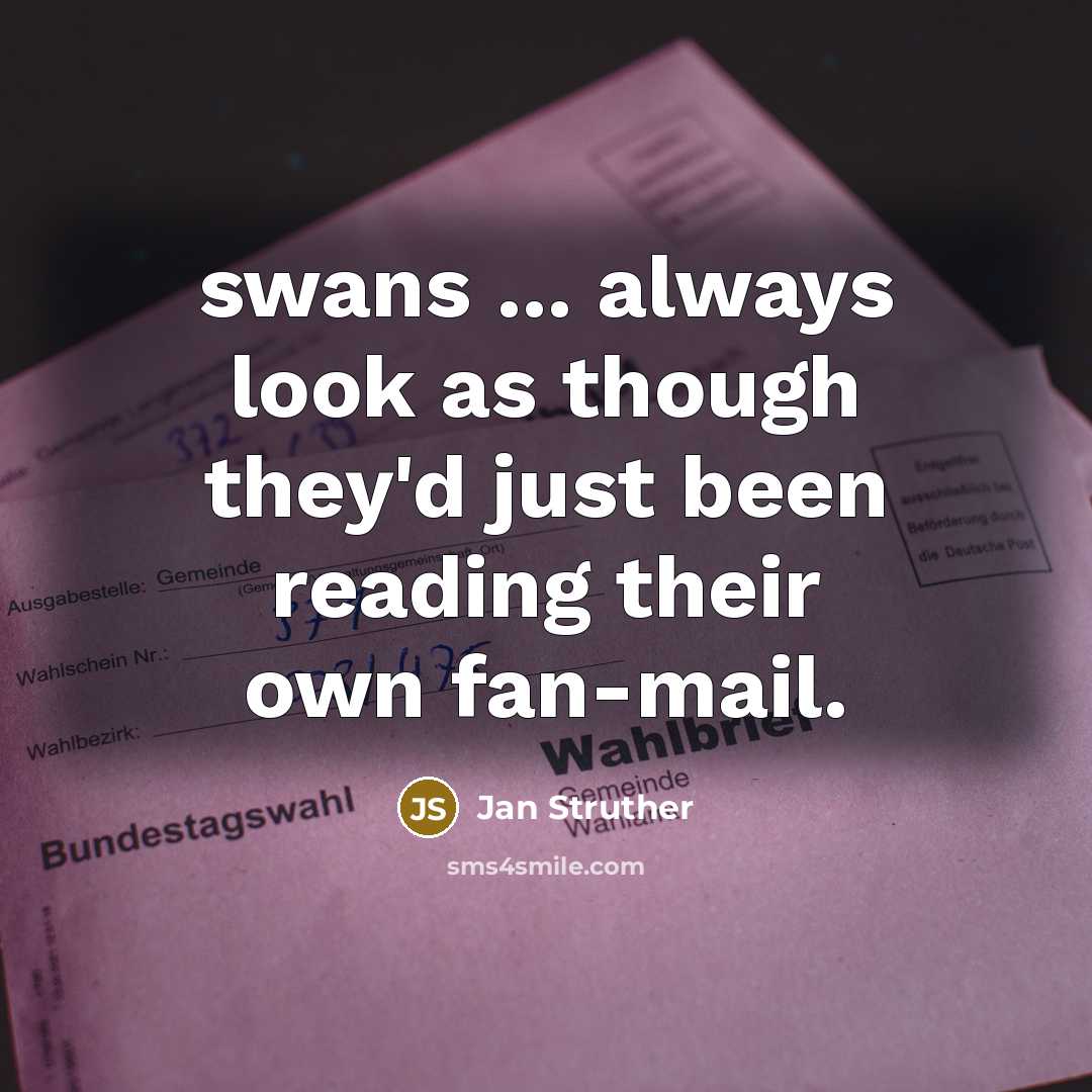 “swans ... always look as though they'd just been reading…” quote by Jan Struther