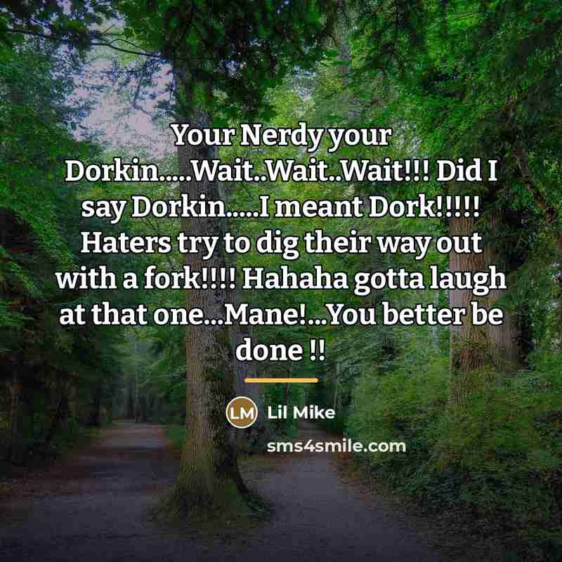 “Your Nerdy your Dorkin.....Wait..Wait..Wait!!! Did I say Dorkin.....I meant Dork!!!!!…” quote by Lil Mike