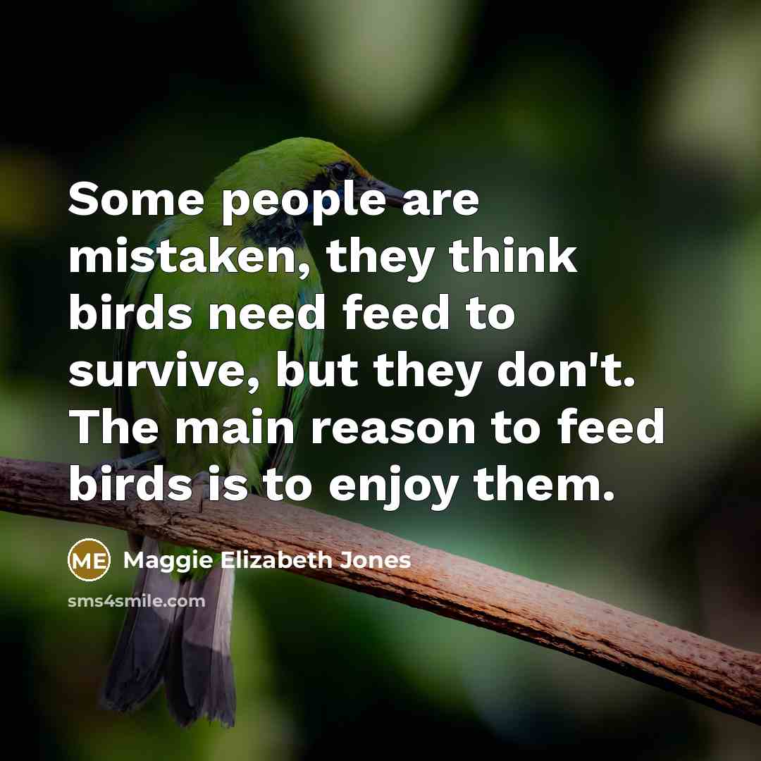 “Some people are mistaken, they think birds need feed to…” quote by Maggie Elizabeth Jones