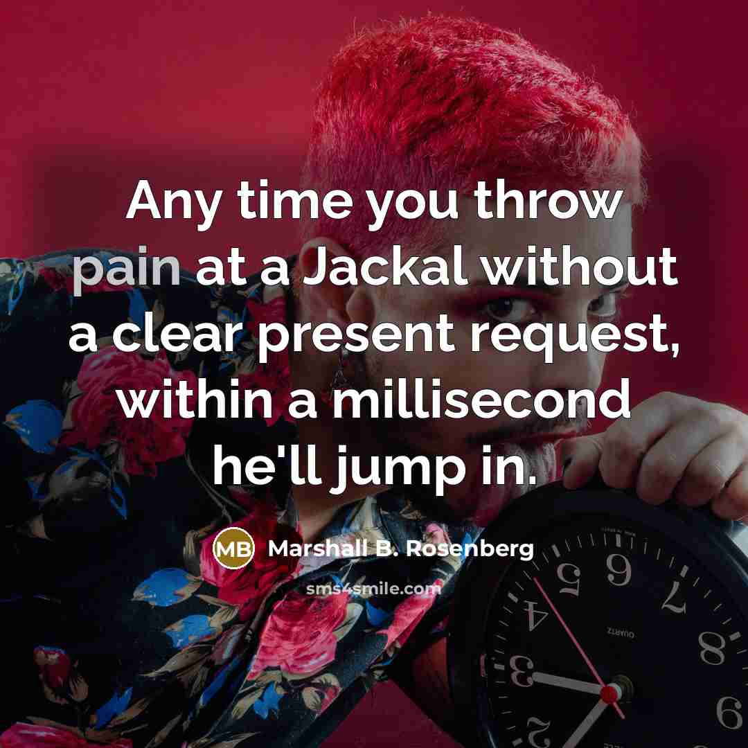 “Any time you throw pain at a Jackal without a…” quote by Marshall B. Rosenberg