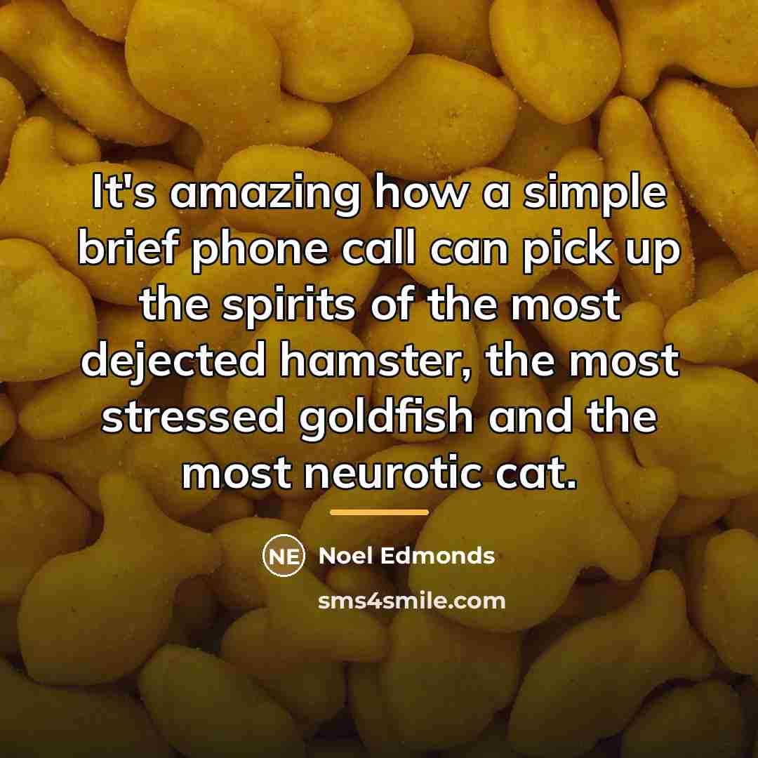 “It's amazing how a simple brief phone call can pick…” quote by Noel Edmonds