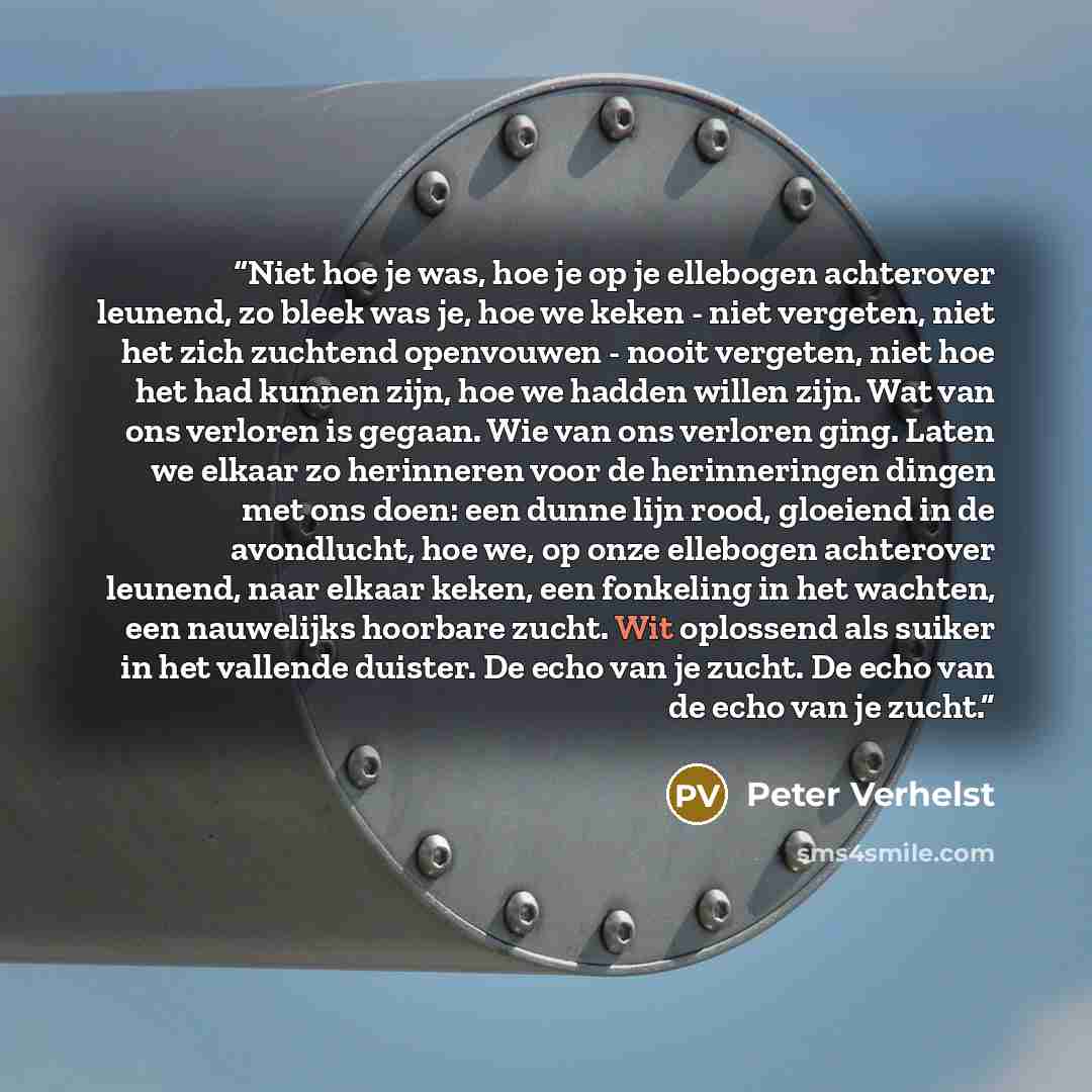 “Niet hoe je was, hoe je op je ellebogen achterover leunend, zo bleek was je, hoe we keken - niet vergeten, niet het zich zuchtend openvouwen - nooit vergeten, niet hoe het had kunnen zijn, hoe we hadden willen zijn. Wat van ons verloren is gegaan. Wie van ons verloren ging. Laten we elkaar zo…” quote by Peter Verhelst