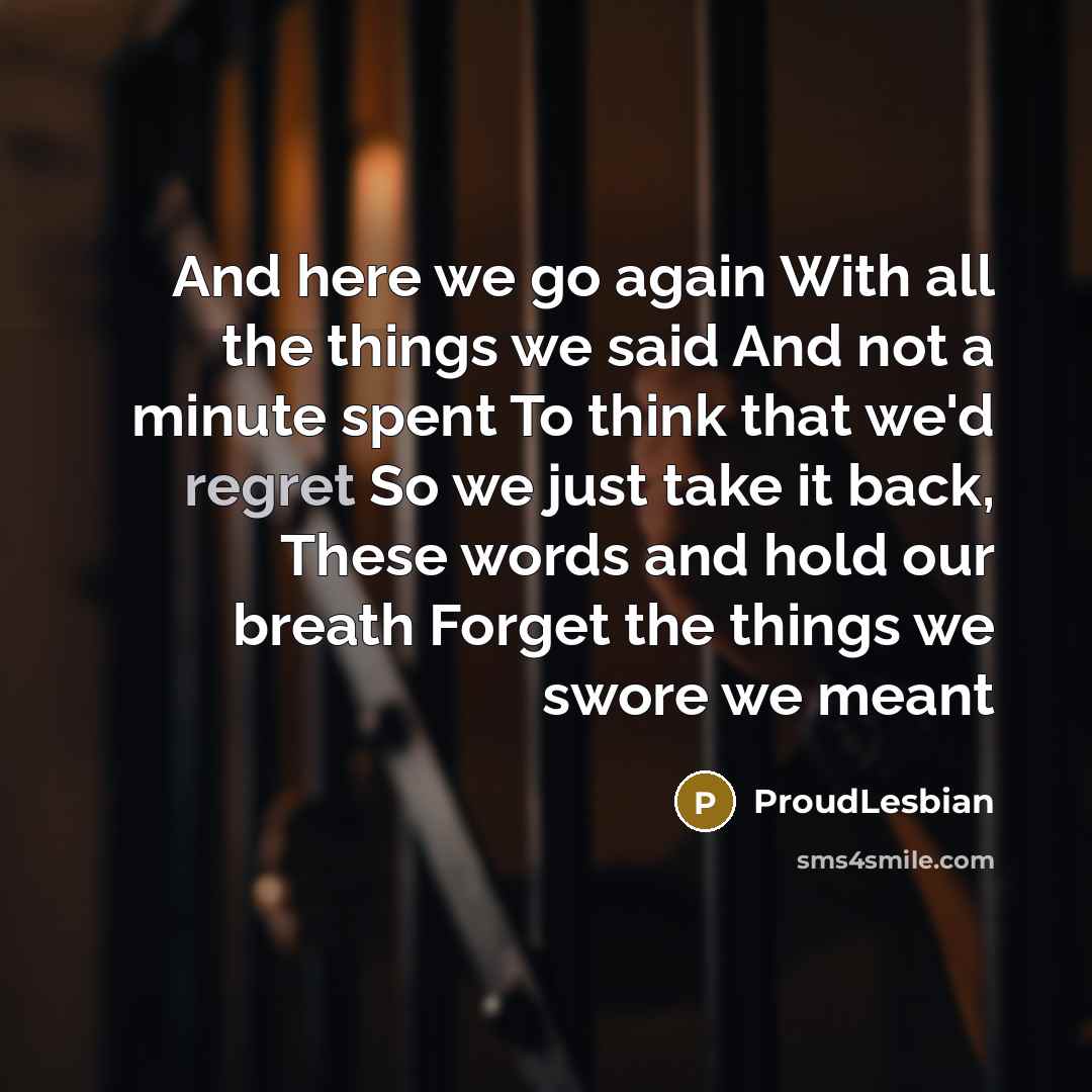 “And here we go again With all the things we said And not a minute spent To think that we'd regret So we just take it back, These words and hold our breath Forget the things we swore we meant” quote by ProudLesbian