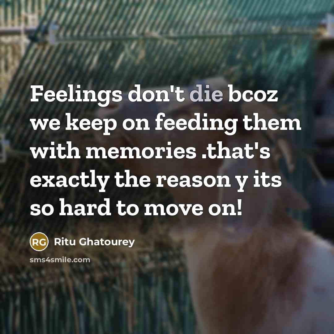 “Feelings don't die bcoz we keep on feeding them with…” quote by Ritu Ghatourey