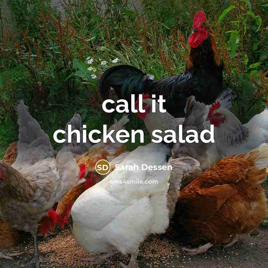“call it chicken salad” quote by Sarah Dessen