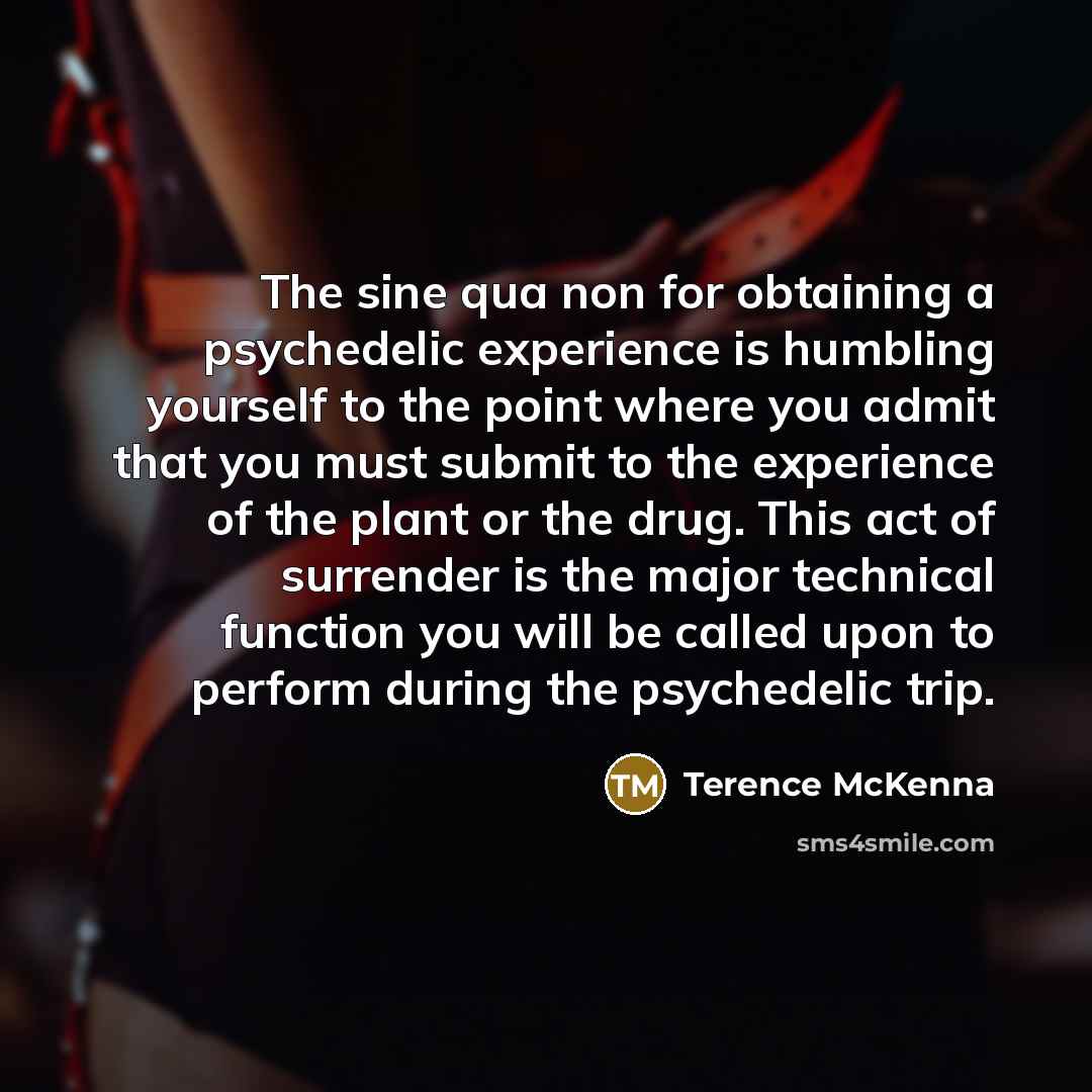 “The sine qua non for obtaining a psychedelic experience is…” quote by Terence McKenna