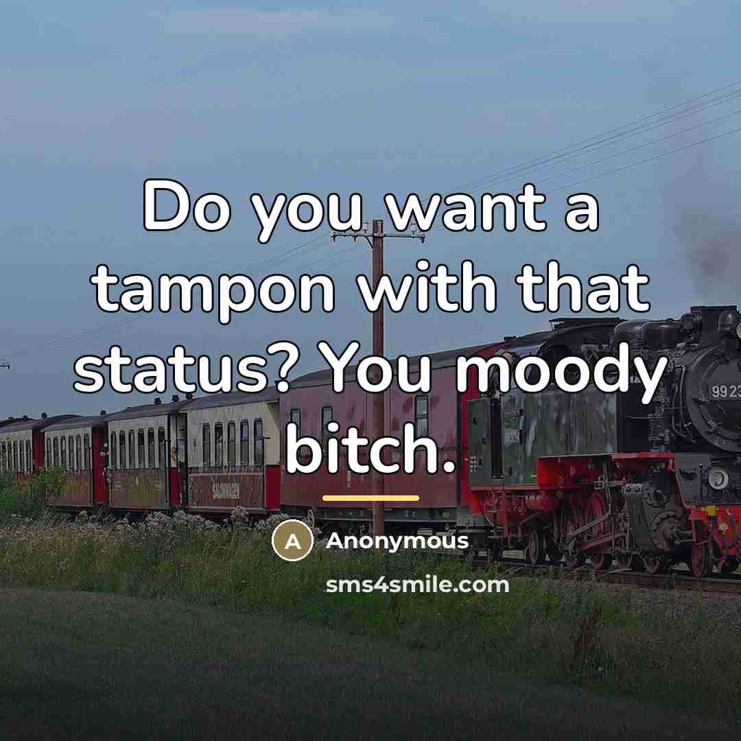 “Do you want a tampon with that status? You moody…” quote by Anonymous