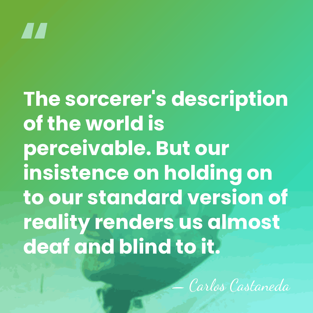 The sorcerer's description of the world is perceivable. But our insistence on&hellip; - Carlos Castaneda