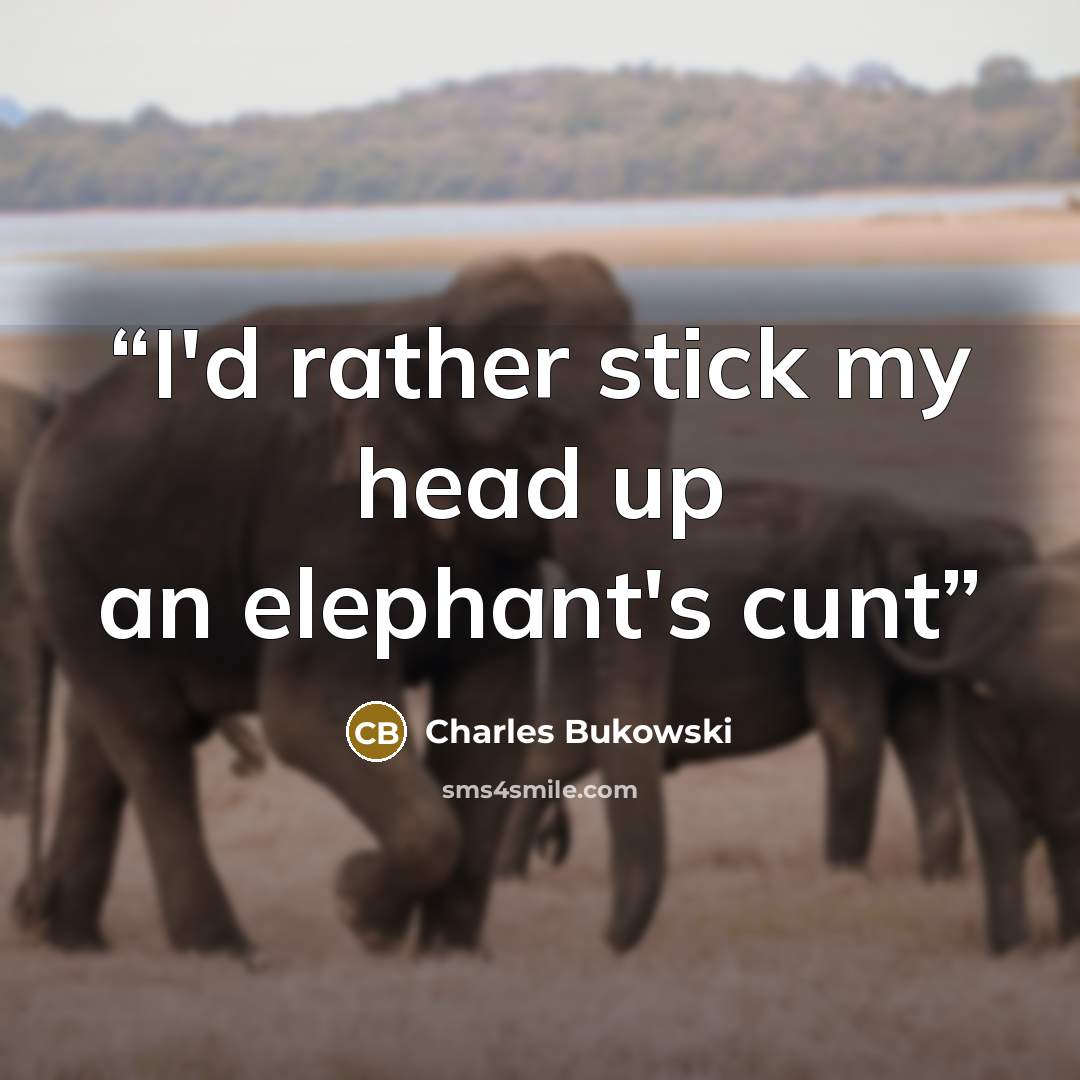 “I'd rather stick my head up an elephant's cunt” quote by Charles Bukowski