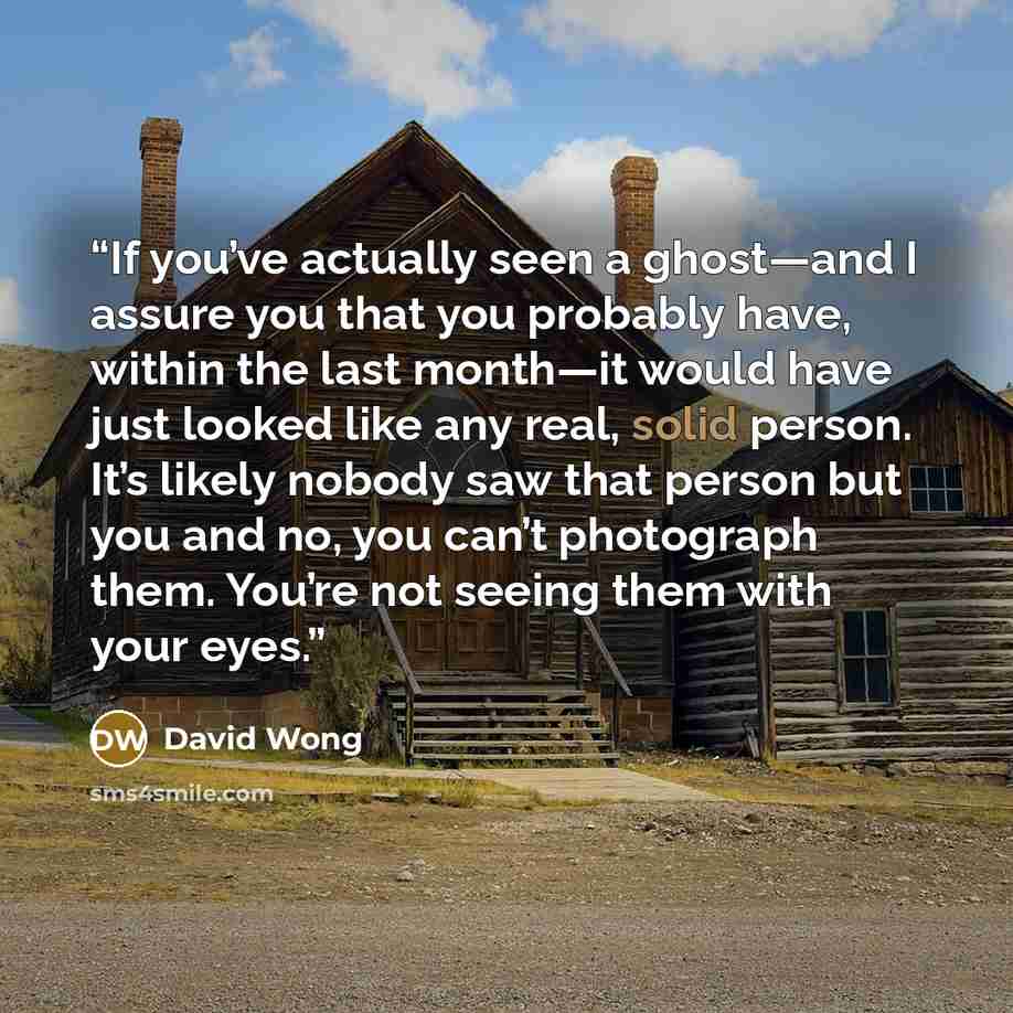 “If you’ve actually seen a ghost—and I assure you that you probably have, within the last month—it would have just looked like any real, solid person. It’s likely nobody saw that person but you and no, you can’t photograph them. You’re not seeing them with your eyes.” quote by David Wong