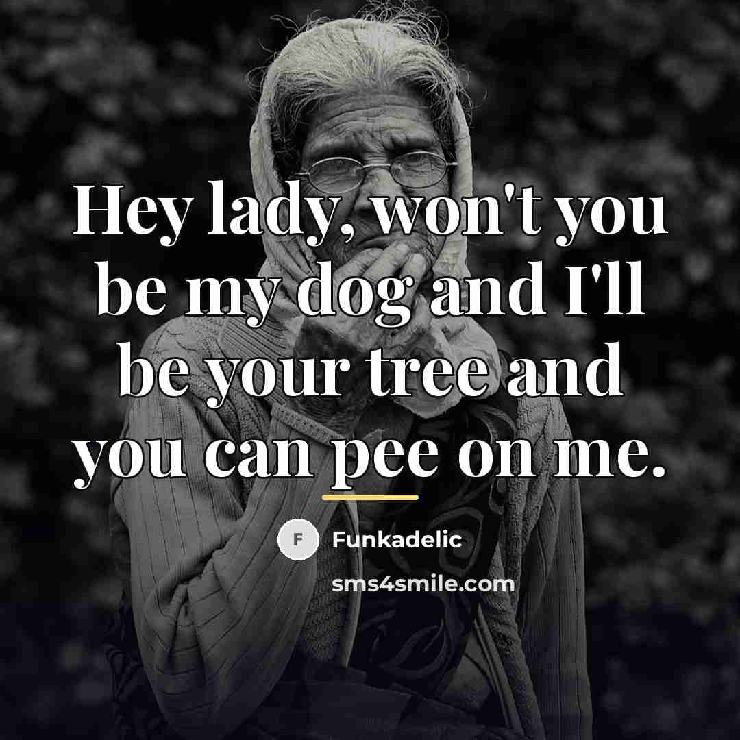 “Hey lady, won't you be my dog and I'll be…” quote by Funkadelic