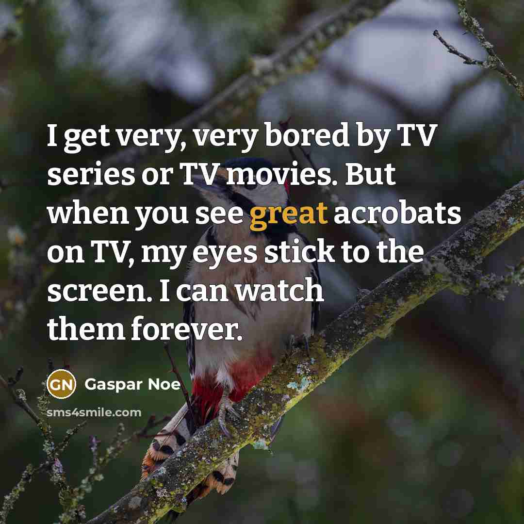 “I get very, very bored by TV series or TV…” quote by Gaspar Noe