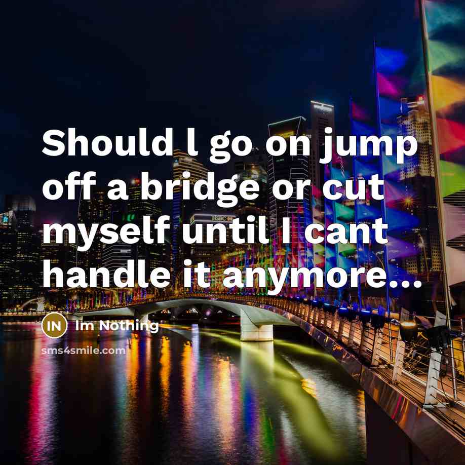 “Should l go on jump off a bridge or cut…” quote by Im Nothing