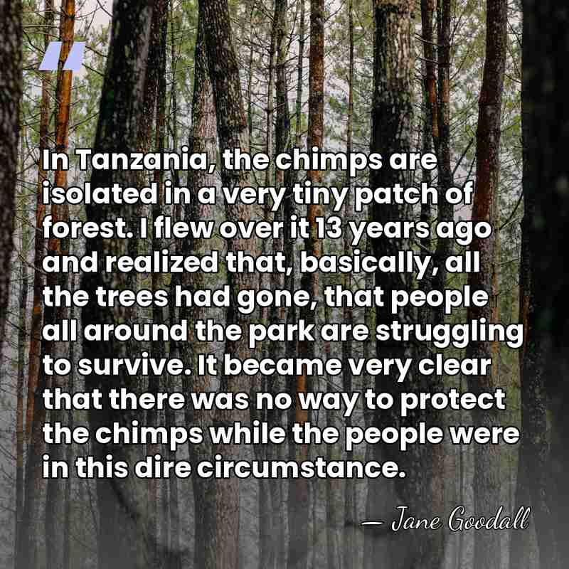 In Tanzania, the chimps are isolated in a very tiny patch of&hellip; - Jane Goodall