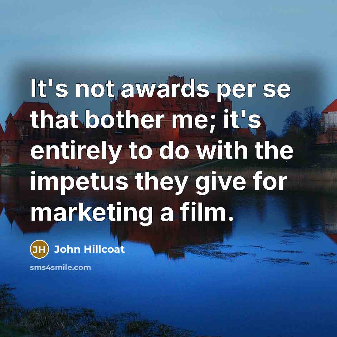“It's not awards per se that bother me; it's entirely…” quote by John Hillcoat