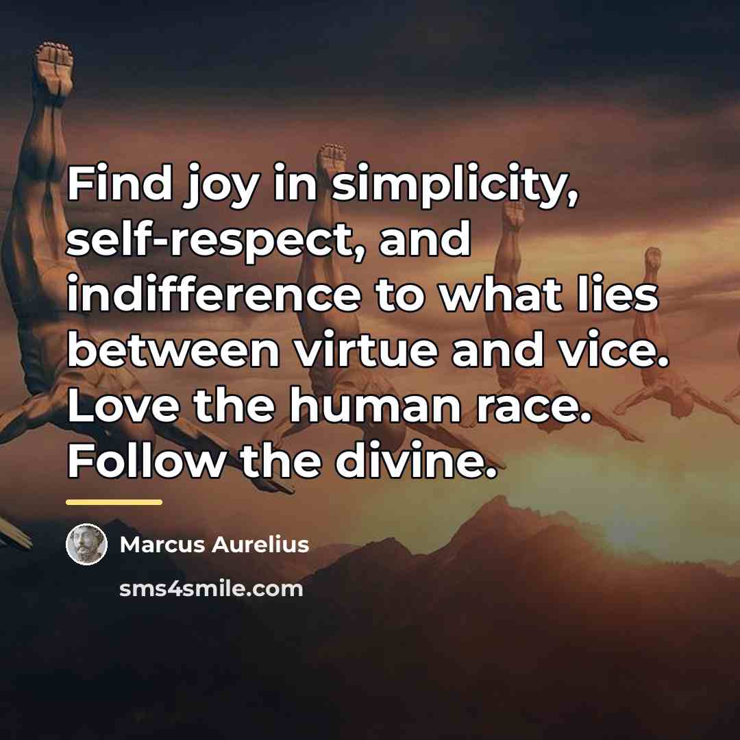 “Find joy in simplicity, self-respect, and indifference to what lies…” quote by Marcus Aurelius
