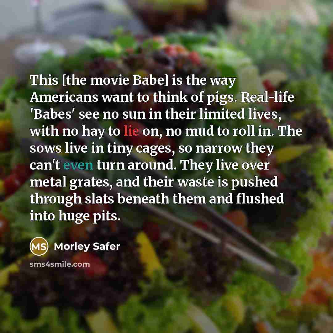 “This [the movie Babe] is the way Americans want to…” quote by Morley Safer