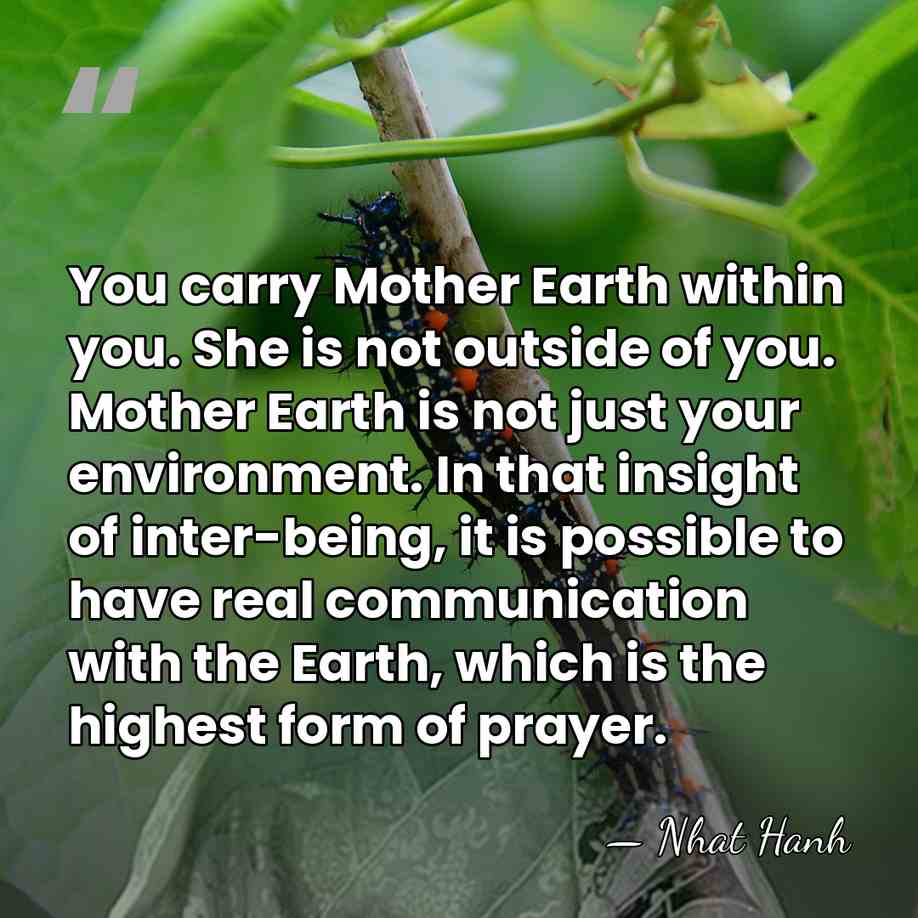 You carry Mother Earth within you. She is not outside of you.&hellip; - Nhat Hanh