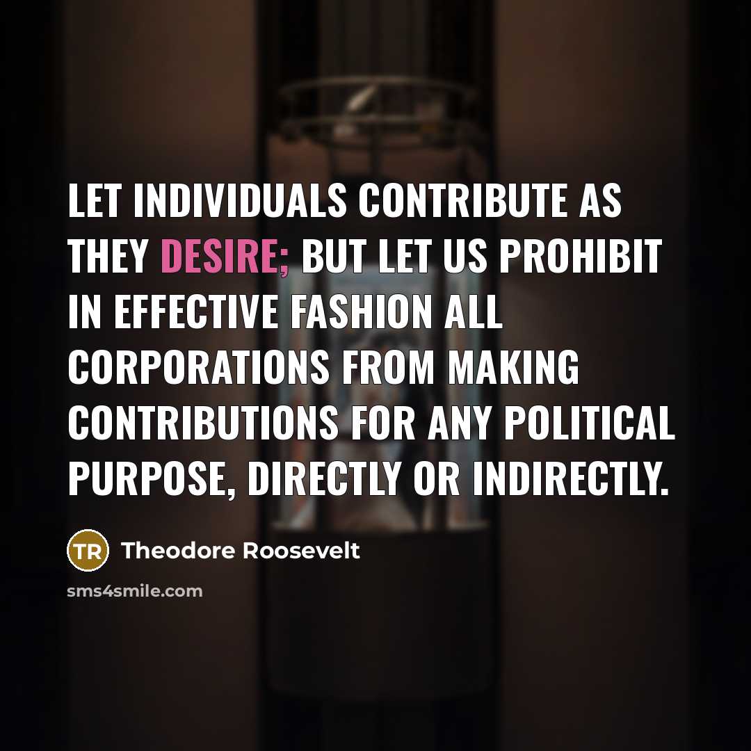 “Let individuals contribute as they desire; but let us prohibit…” quote by Theodore Roosevelt